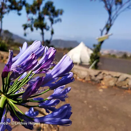 Campismo de Luxo Free Canari - Alamos 8 *