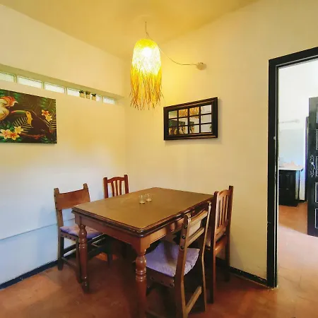 Campismo de Luxo Free Canari - Alamos 8 Tegueste