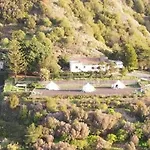 Free Canari - Alamos 8