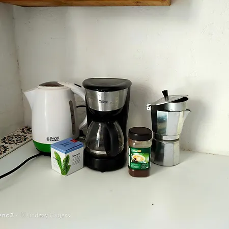 Free Canari - Alamos 8 Тегесте