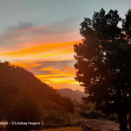 Free Canari - Alamos 8 Тегесте