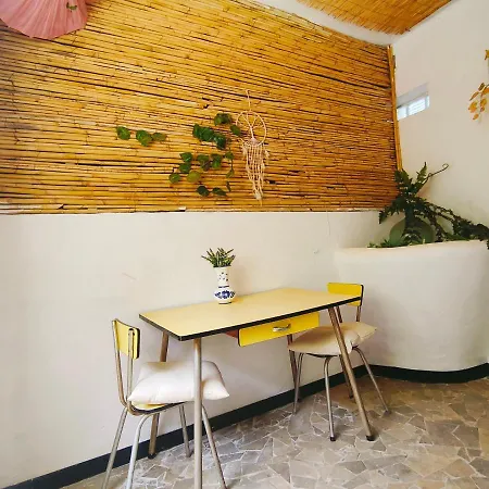 Free Canari - Alamos 8 *