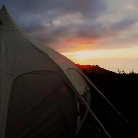 Free Canari - Alamos 8 * Тегесте