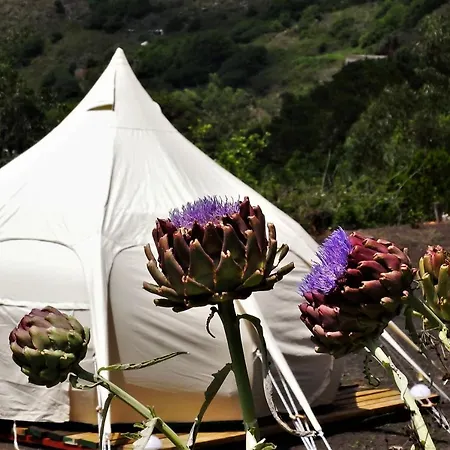 Free Canari - Alamos 8 Роскошный шатер *