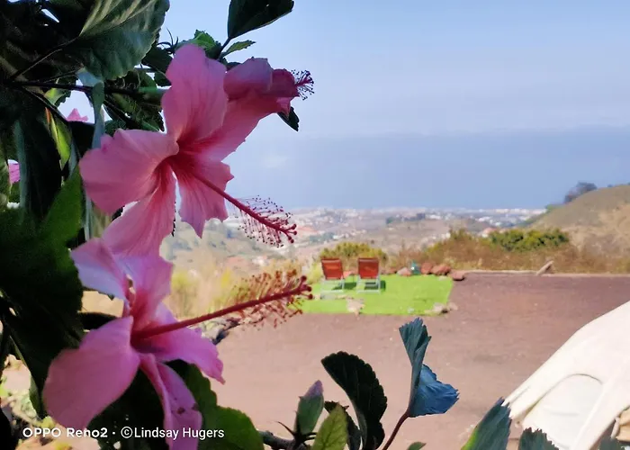 Free Canari - Alamos 8 Luxuszelt