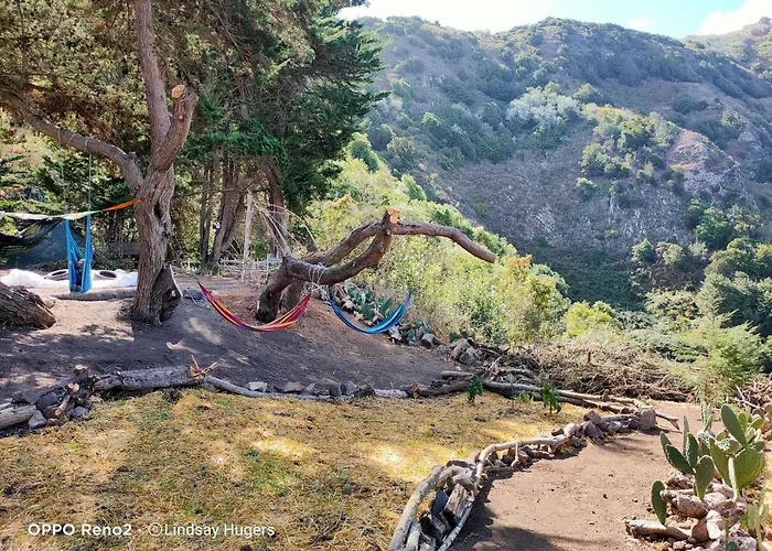 Free Canari - Alamos 8 خيمة فخمة Tegueste