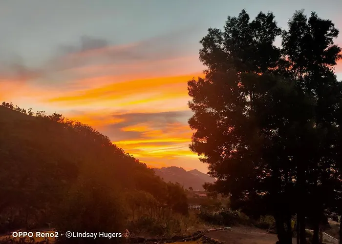 Free Canari - Alamos 8 Tegueste