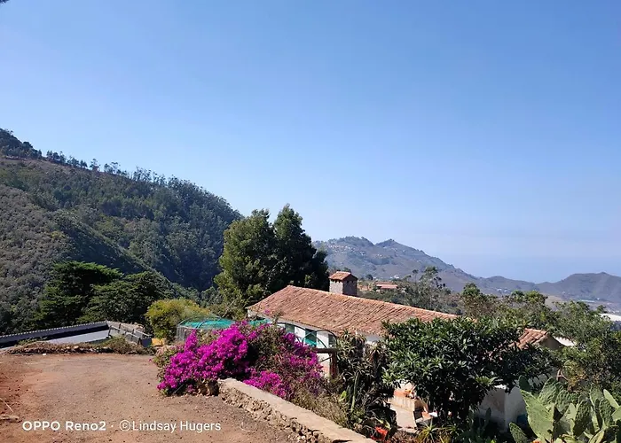 Free Canari - Alamos 8 * Tegueste