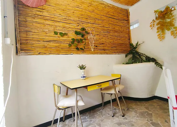 Free Canari - Alamos 8 *