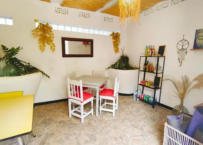 Free Canari - Alamos 8 Tegueste