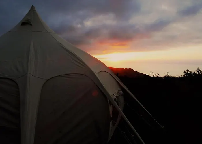 Free Canari - Alamos 8 * Tegueste