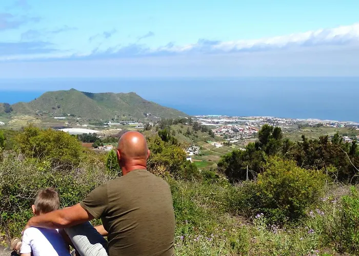 Free Canari - Alamos 8 خيمة فخمة *