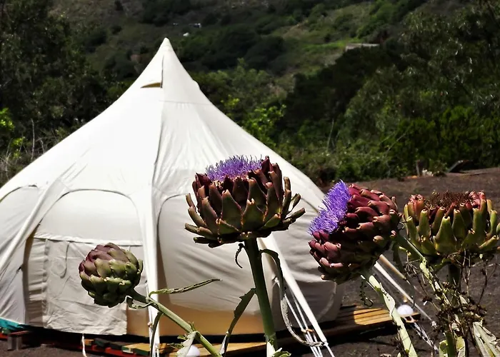 Free Canari - Alamos 8 Luxuszelt *