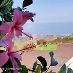 Free Canari - Alamos 8 אוהל מפואר