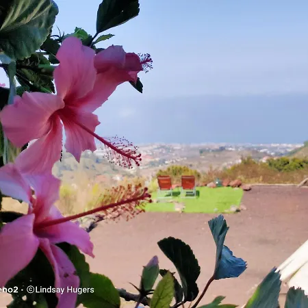 Free Canari - Alamos 8 Luxusní stan