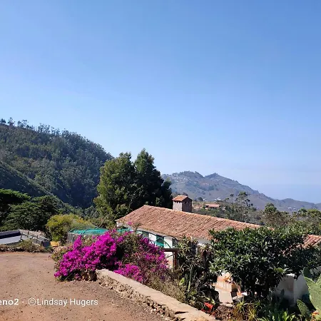 Free Canari - Alamos 8 * 特格斯特