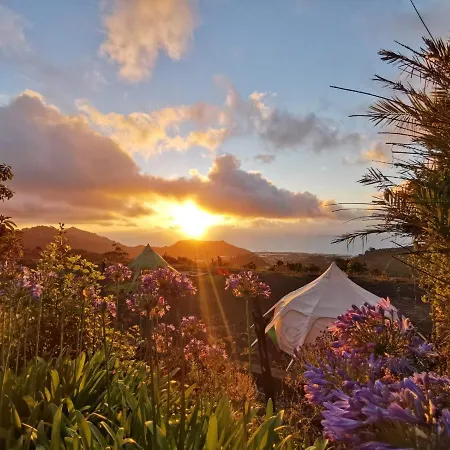 Free Canari - Alamos 8 * Tegueste