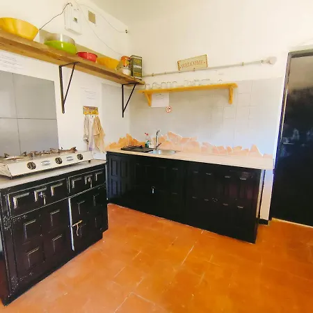 Free Canari - Alamos 8