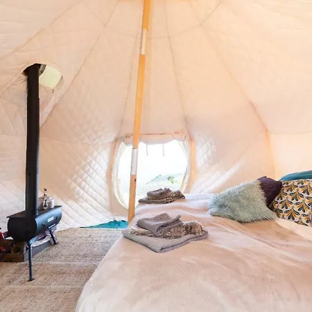 Free Canari - Alamos 8 * 特格斯特