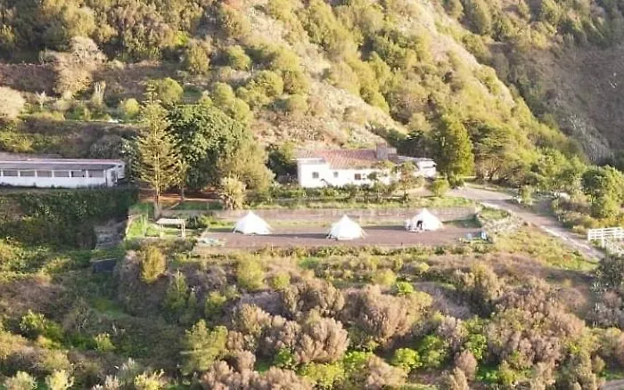 Free Canari - Alamos 8