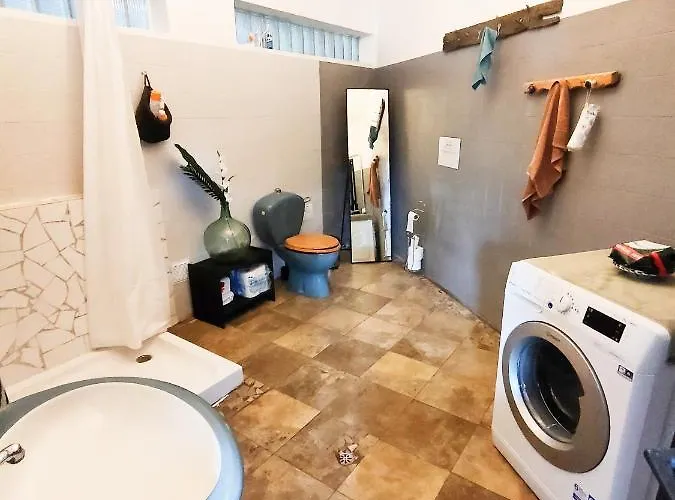 Free Canari - Alamos 8