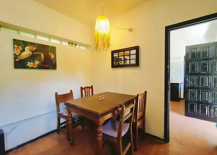 Lyxtält Free Canari - Alamos 8 Tegueste