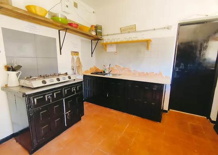 Free Canari - Alamos 8