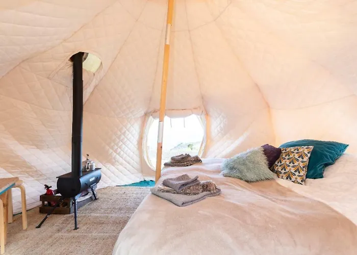 Free Canari - Alamos 8 * Tegueste