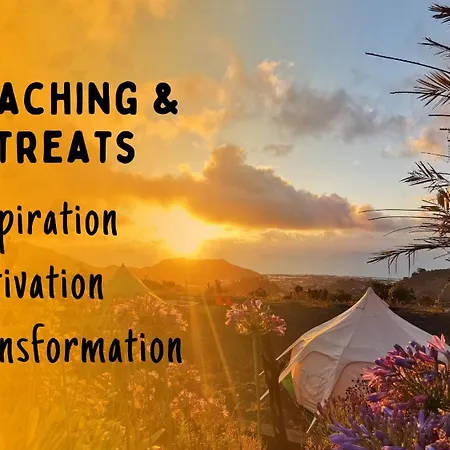 Free Canari - Alamos 8 Tegueste