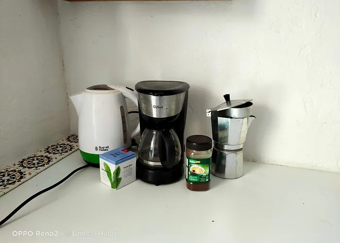 Free Canari - Alamos 8 Tegueste